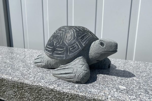 IMG_8801